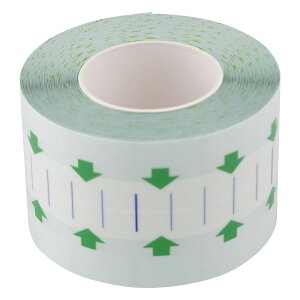 �h���b�V���O�e�[�vW �~���I���G�C�h(R) 50mm×10m 1����