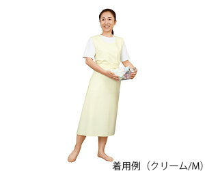 ������G�v�����i�Ђ��^�C�v�j�@�T�b�N�X/M