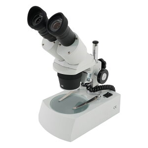 �o����̌������@20×�E40×