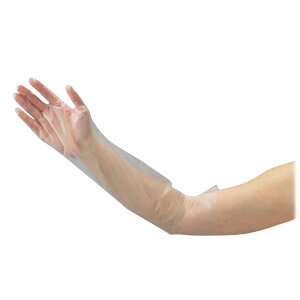 �|���G�`���������O��܁i�Ђ��s�^�j�@100����