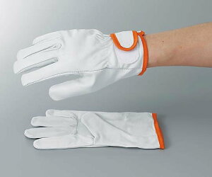 ���{�v��܁@LL