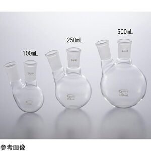 �ے�t���X�R�i����j24/40 250mL
