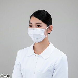 �i�r�K�[�h�}�X�N�i��^�C�v�j1���i1��/��×30�ܓ��j