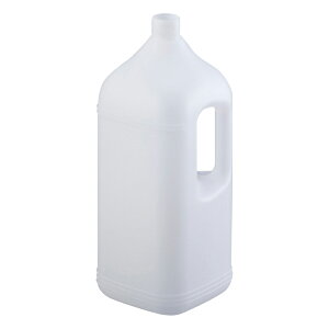 �p�^�e�� �{��