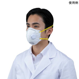 �܂��ݎ��h����}�X�N DS2 �r�C�ٗL 1���i10�����j