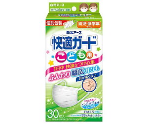 ���K�K�[�h �}�X�N ���ǂ��p 1���i1��/��×30�ܓ��j