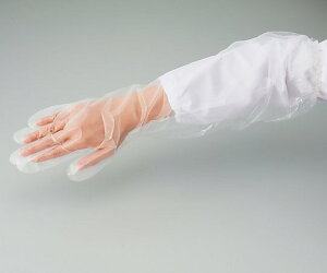 �v���V�F�A�|���G�`���������O��� �t���[�T�C�Y 1���i50�����j