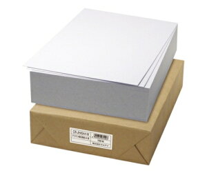 �ڕ\�� A4�� 1�p�b�N�i100�����j