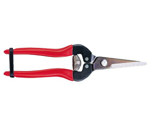 �E���� �����O �X�e�����X�^�C�v