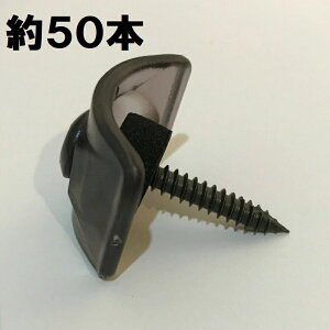 ؉np grX y32gp 50{z|JgEKogɎgp (uYF)M5×35