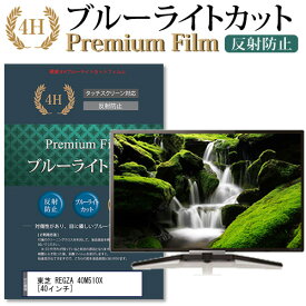 東芝 REGZA 40M510X [40インチ] 機種で使える ブルーライトカット 液晶TV 保護フィルム メール便送料無料