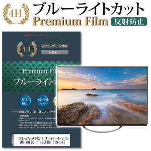 (�҂�����T�C�Y) �p�i�\�j�b�N �v���C�x�[�g�E�r�G�� UN-19FB9 / 19CFB9 [19�C���`] �@��Ŏg���� ���� �K���X�t�B���� �� ������ ���d�x9H �u���[���C�g�J�b�g ����^�C�v ������ �t��TV �ی�t�B
