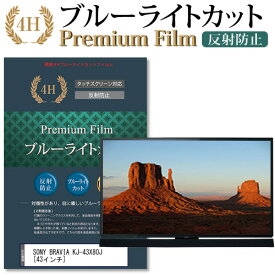 SONY BRAVIA KJ-43X80J [43インチ] 機種で使える ブルーライトカット 指紋防止 液晶TV 保護フィルム メール便送料無料 jgs bgt 互換品