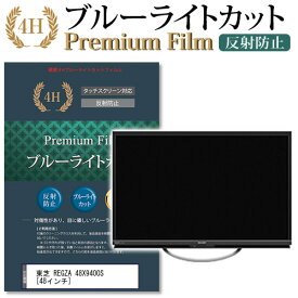 東芝 REGZA 48X9400S [48インチ] 機種で使える ブルーライトカット 指紋防止 液晶TV 保護フィルム メール便送料無料