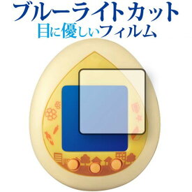 PUI PUI モルカー PUI PUI モルカっち 専用 ブルーライトカット 反射防止 保護フィルム 指紋防止 液晶フィルム メール便送料無料 jgs bgt