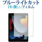 iPad 第9世代 フィルム ブルーライトカット 反射防止 保護フィルム 指紋防止 Apple アイパッド 液晶保護フィルム 有償交換保証付き