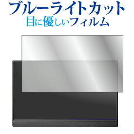 I-O DATA EX-LDC161DBM 液晶保護 フィルム ブルーライトカット 反射防止 保護フィルム 指紋防止 メール便送料無料 jgs bgt 互換品