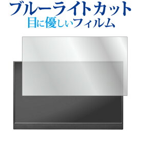 I-O DATA EX-YC171D 液晶保護 フィルム ブルーライトカット 反射防止 保護フィルム 指紋防止 メール便送料無料 jgs bgt 互換品