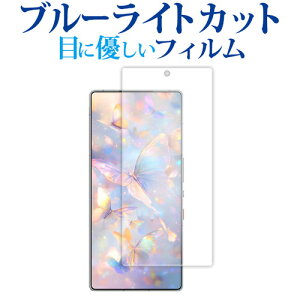 nubia RedMagic 10 Pro RedMagic 10 Pro+ tی tB u[CgJbg ˖h~ یtB wh~ [֑ ݊i