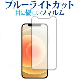 Apple iPhone12 mini 専用 ブルーライトカット 反射防止 保護フィルム 指紋防止 液晶フィルム メール便送料無料