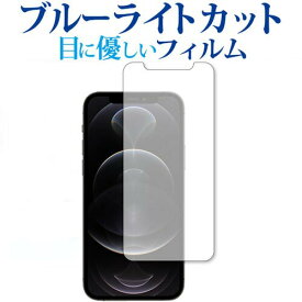 Apple iPhone12 pro 専用 ブルーライトカット 反射防止 保護フィルム 指紋防止 液晶フィルム メール便送料無料
