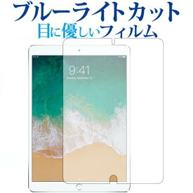 Apple iPad Pro (10.5) 専用 ブルーライトカット 反射防止 液晶保護フィルム 指紋防止 液晶フィルム メール便送料無料