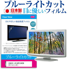 ＼0と5のつく日はP10倍／ IODATA LCD-MF224EDB [21.5インチ] ブルーライトカット 日本製 反射防止 液晶保護フィルム 指紋防止 気泡レス加工 液晶フィルム メール便送料無料