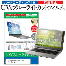 ＼スーパーSALE 開催中／ iiyama LEVEL-17FX152 [17.3インチ] 保護 フィルム カバー シート ブルーライトカット 反射防止 指紋防止 液晶保護フィルム メール便送料無料