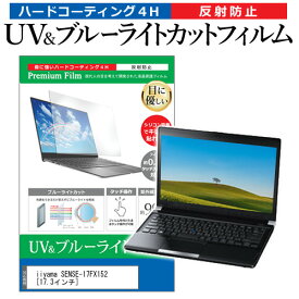 ＼スーパーSALE 開催中／ iiyama SENSE-17FX152 [17.3インチ] 保護 フィルム カバー シート ブルーライトカット 反射防止 指紋防止 液晶保護フィルム メール便送料無料