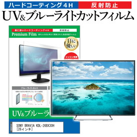 ＼スーパーSALE 開催中／ SONY BRAVIA KDL-26BX30H [26インチ] 機種で使える ブルーライトカット 反射防止 指紋防止 液晶TV 保護フィルム メール便送料無料