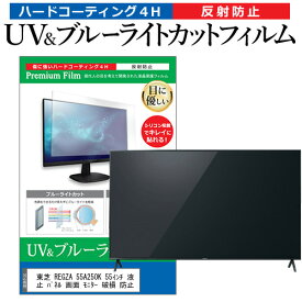 東芝 REGZA 55A250K 55インチ 液晶 テレビ 保護フィルム ブルーライトカット 55型 反射防止 パネル 画面 モニター 破損 防止