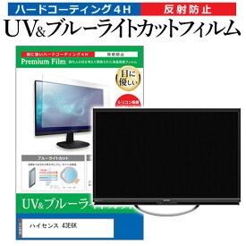ハイセンス 43E6K [43インチ] 保護 フィルム カバー シート ブルーライトカット 反射防止 指紋防止 テレビ用 液晶保護フィルム メール便送料無料 jgs bgt 互換品