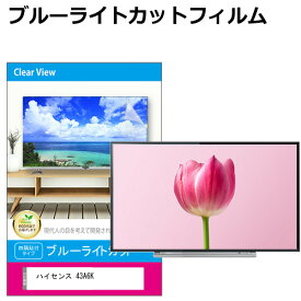 ハイセンス 43A6K [43インチ] 液晶テレビ保護パネル 43型 ブルーライトカット テレビ保護パネル 43インチ 保護 フィルム 画面 モニター 破損 防止 有機ELテレビ UV 保護 テレビガード 薄型 カバー 互換品 有償交換保証付き