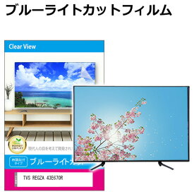 TVS REGZA 43E670R [43インチ] 互換品 液晶テレビ保護パネル 43型 ブルーライトカット テレビ保護パネル 43インチ 保護 フィルム 画面 モニター 破損 防止 有機ELテレビ UV 保護 テレビガード 薄型 カバー メール便送料無料 有償交換保証付き
