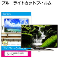 シャープ AQUOS 4T-C45BN1 [45インチ] 液晶テレビ保護パネル 45型 ブルーライトカット テレビ保護パネル …
