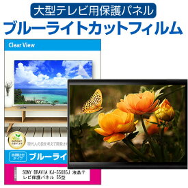 SONY BRAVIA KJ-55X85J 液晶テレビ保護パネル 55型 ブルーライトカット テレビ保護パネル 55インチ 保護 フィルム 画面 モニター 破損 防止 有機ELテレビ UV 保護 テレビガード 薄型 カバー jgs bgt 互換品
