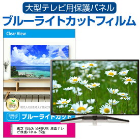 東芝 REGZA 55X8900K 液晶テレビ保護パネル 55型 ブルーライトカット テレビ保護パネル 55インチ 保護 フィルム 画面 モニター 破損 防止 有機ELテレビ UV 保護 テレビガード 薄型 カバー