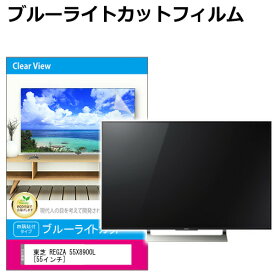 東芝 REGZA 55X8900L [55インチ] 液晶テレビ保護パネル 55型 ブルーライトカット テレビ保護パネル 55インチ 保護 フィルム 画面 モニター 破損 防止 有機ELテレビ UV 保護 テレビガード 薄型 カバー メール便送料無料 jgs bgt 互換品