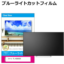 フナイ FL-65U5030 液晶テレビ保護パネル 65型 ブルーライトカット テレビ保護パネル 65インチ 保護 フィルム 画面 モニター 破損 防止 有機ELテレビ UV 保護 テレビガード 薄型 カバー