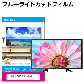 SONY BRAVIA XRJ-65X95J 液晶テレビ保護パネル 65型 ブルーライトカット テレビ保護パネル 65インチ 保護 フィルム 画面 モニター 破損 防止 有機ELテレビ UV 保護 テレビガード 薄型 カバー