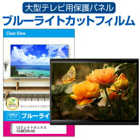 ＼20日は最大ポイント5倍!!／ LGエレクトロニクス 65QNED90JQA [65インチ] 液晶テレビ保護パネル 65型 ブルーライトカット テレビ保護パネル 65インチ 保護 フィルム 画面 モニター 破損 防止 有機ELテレビ UV 保護 テレビガード 薄型 カバー メール便送料無料