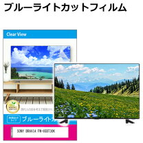 楽天市場】液晶テレビ 保護パネル 65インチ ブラビアの通販