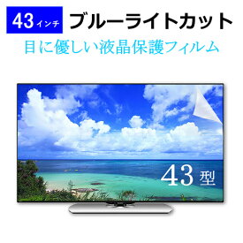 43インチ 43型 ブルーライトカット 液晶保護フィルム テレビ 画面 (W941×H529mm) フリーカットタイプ メール便 送料無料