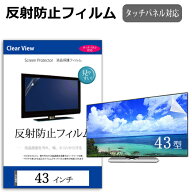 43インチ 43型 反射防止 液晶保護フィルム テレビ 画面 (W941×H529mm) フリーカットタイプ メール便 送…