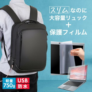 NEC VersaPro J UltraLite ^CvVN 13.3C` rWlXbN Y fB[X p\RobO tB Zbg ʋ ʊw USB [d bNTbN PC obO p\R bN e @\ y