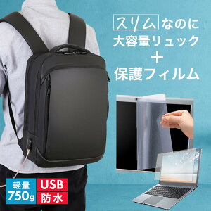 NEC VersaPro UltraLite ^CvVN [13.3C`] ݊i rWlXbN Y fB[X p\RobO tB Zbg ʋ ʊw USB [d bNTbN PC obO p\R bN e 