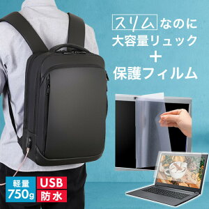 NEC LAVIE Direct PM [13.3C`] rWlXbN Y fB[X p\RobO tB Zbg ʋ ʊw USB [d bNTbN rWlX obO PC obO p\R bN e 