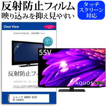 楽天市場】regza 55（液晶テレビ保護パネル｜テレビ用アクセサリー 