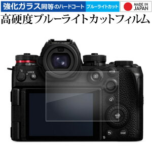 Panasonic LUMIX S1RII G99II tی tB KX   dx9H u[CgJbg NA [֑ ݊i