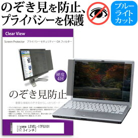 ＼スーパーSALE 開催中／ iiyama LEVEL-17FG101 [17.3インチ] 機種用 のぞき見防止 覗き見防止 プライバシー フィルター ブルーライトカット 反射防止 液晶保護 メール便送料無料